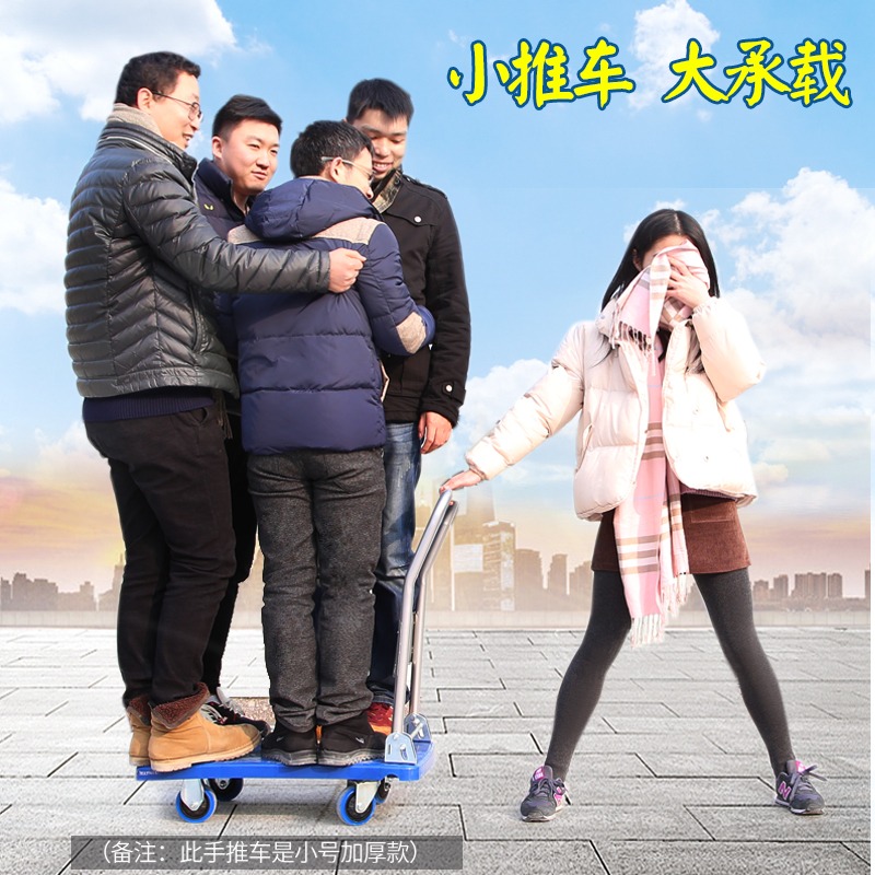 烏龜車平板車小箱車老虎車四輪小推車塑料手推車移動拉貨車拉車-細節圖3