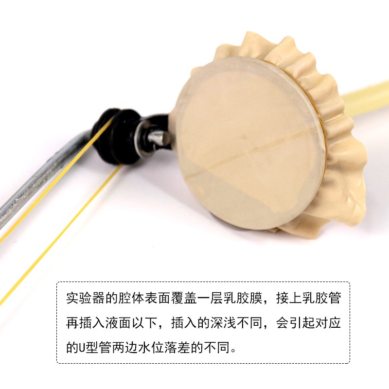 液體內部壓強實驗器演示器微小壓強計U型管U形探究液體內部壓強與深度關系裝置初中物理力學實驗器材教學儀器-細節圖4