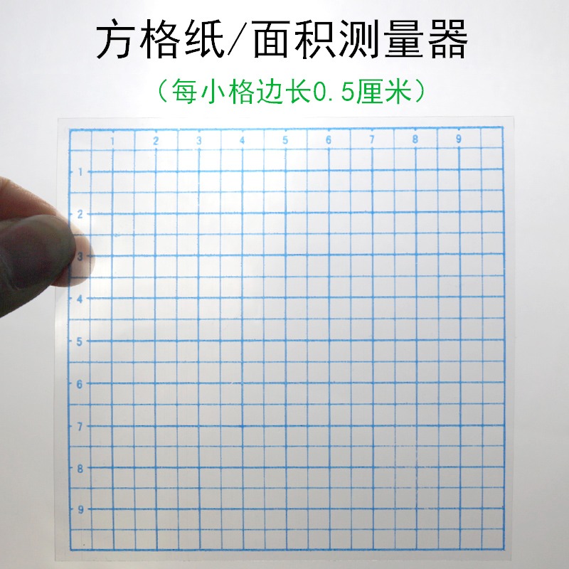 A4雙面方格紙5mm毫米0.5釐米小學數學三四年級圖形的運動平移專用坐標紙學具可手寫繪圖紙面積測量紙-細節圖4