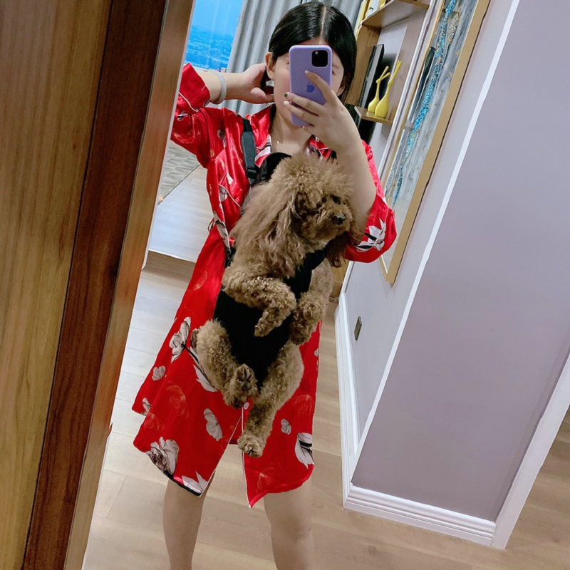 寵物包外出便攜狗包透氣旅行雙肩包貓咪背帶網布大號胸前狗狗揹包-細節圖3