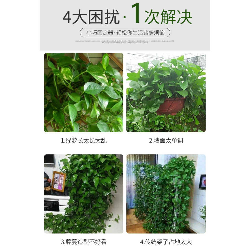 綠蘿固定器爬藤植物家用爬墻爬上墻神器掛鉤墻壁固定扣吸盤綠蘿夾-細節圖9