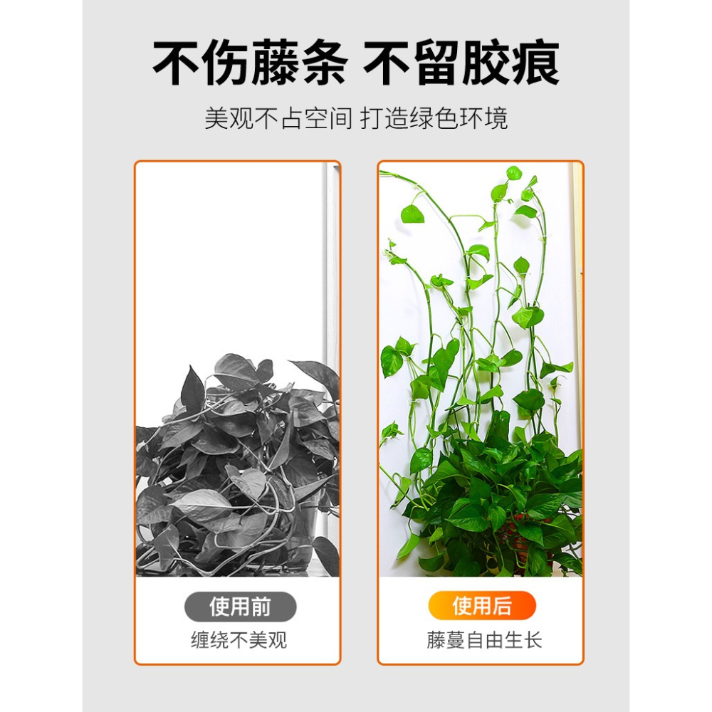 綠蘿固定器爬藤植物家用爬墻爬上墻神器掛鉤墻壁固定扣吸盤綠蘿夾-細節圖10