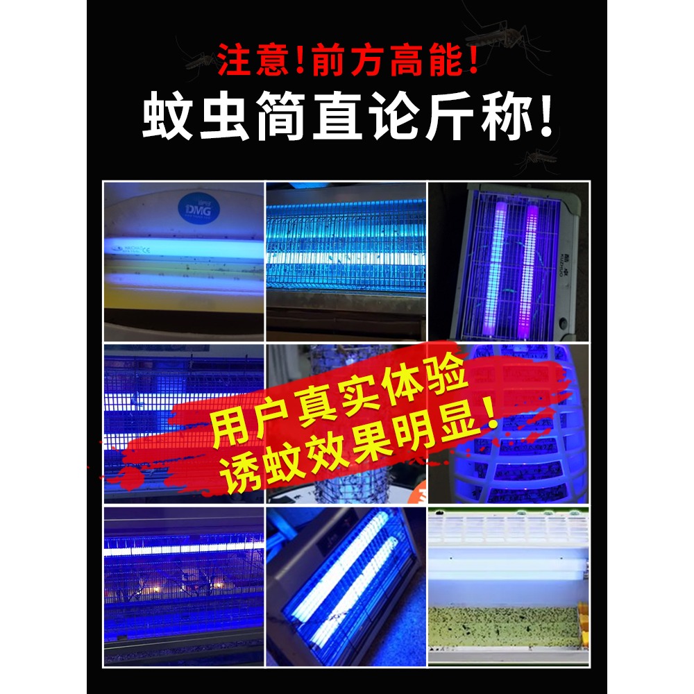 滅蚊燈管餐廳誘蚊滅蠅燈專用燈管飯店超市T5-6W8W藍紫光滅蟲燈管-細節圖2