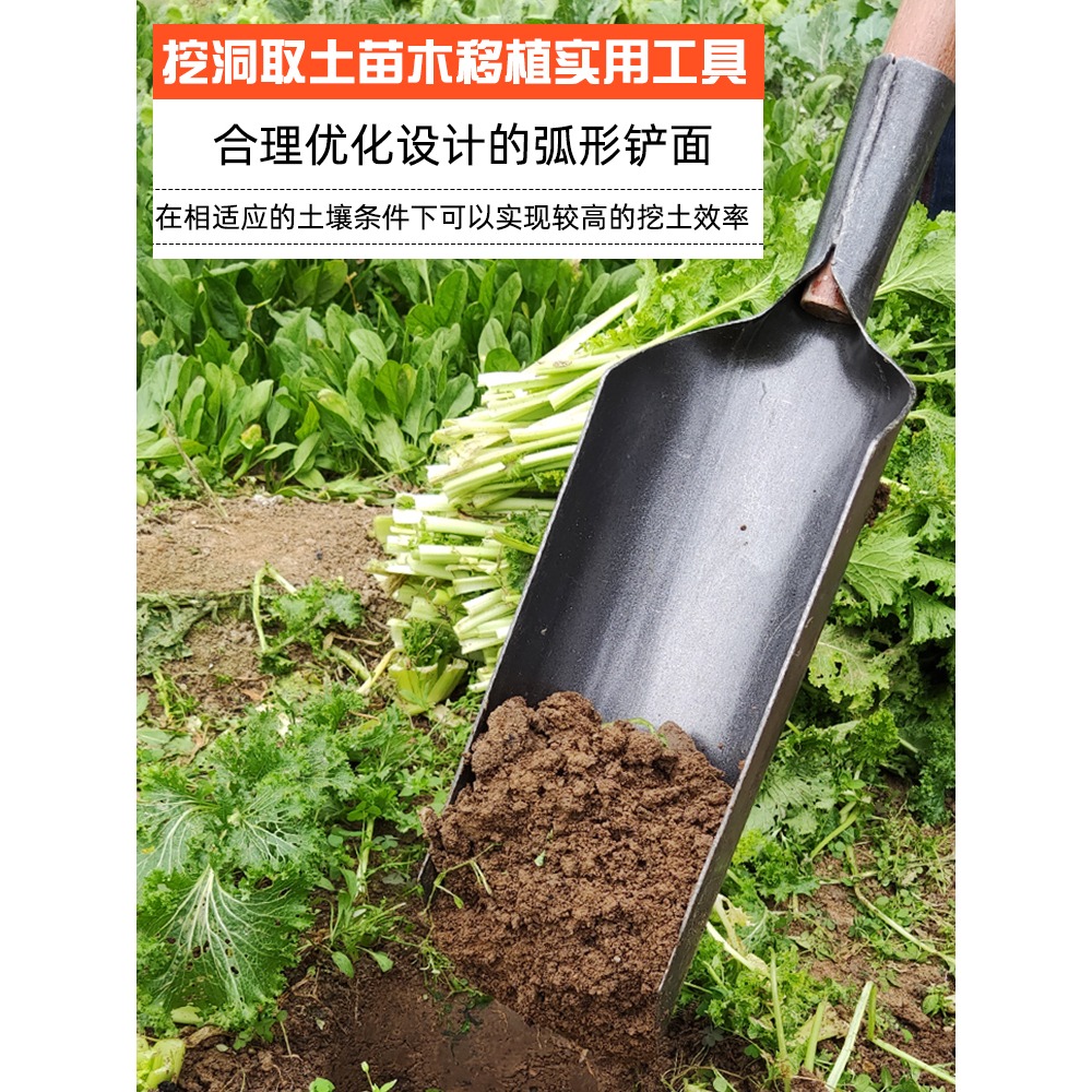 洛陽鏟打洞取土挖洞神器挖土打井戶外鐵鏟農用工具挖溝坑考古鐵鍬-細節圖3