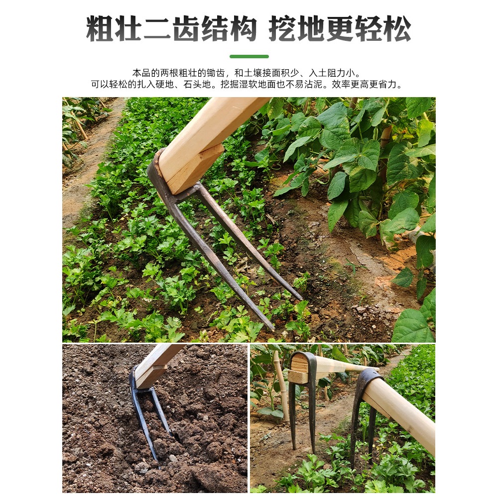 農用二齒鋤頭挖地翻地鬆土神器老式挖筍農用工具兩齒耙子家用種菜-細節圖2