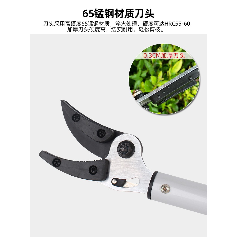 摘果剪刀高枝剪摘果神器摘葡萄修樹枝採果剪高空農用家用園藝工具-細節圖2