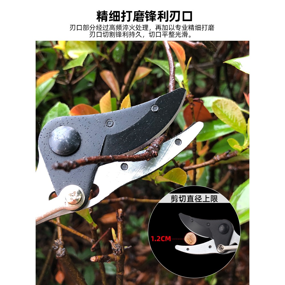 摘果剪刀高枝剪摘果神器摘葡萄修樹枝採果剪高空農用家用園藝工具-細節圖3