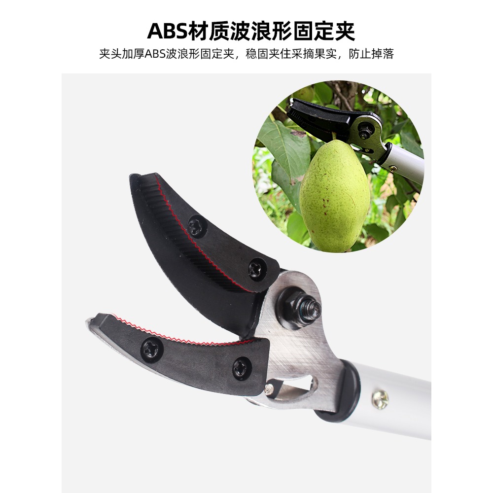 摘果剪刀高枝剪摘果神器摘葡萄修樹枝採果剪高空農用家用園藝工具-細節圖4