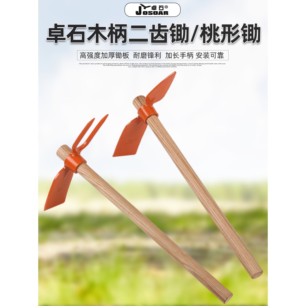 小鋤頭家用種菜除草神器戶外二齒鋤挖地翻鬆土挖筍農用工具大全-細節圖5
