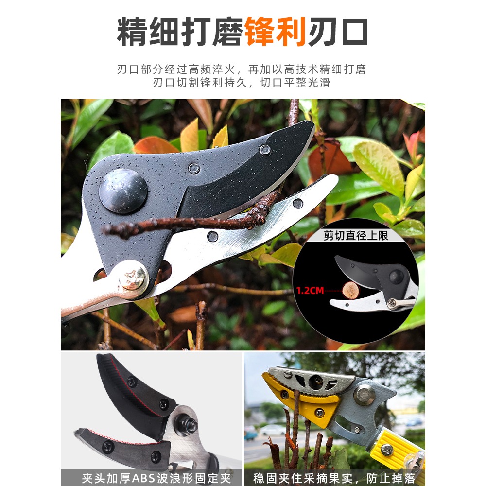 高空摘水果神器高枝剪刀採摘葡萄荔枝枇杷龍眼楊梅伸縮加長果樹剪-細節圖2