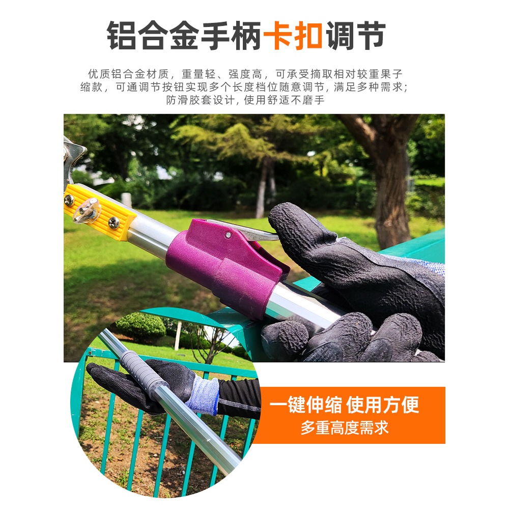 高空摘水果神器高枝剪刀採摘葡萄荔枝枇杷龍眼楊梅伸縮加長果樹剪-細節圖3