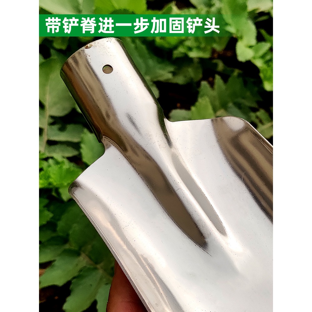 不銹鋼放羊鏟子小號鐵鍬戶外挖土家用種花種菜農用工具大全鏟羊糞-細節圖2