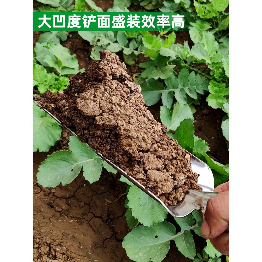 不銹鋼放羊鏟子小號鐵鍬戶外挖土家用種花種菜農用工具大全鏟羊糞-細節圖3