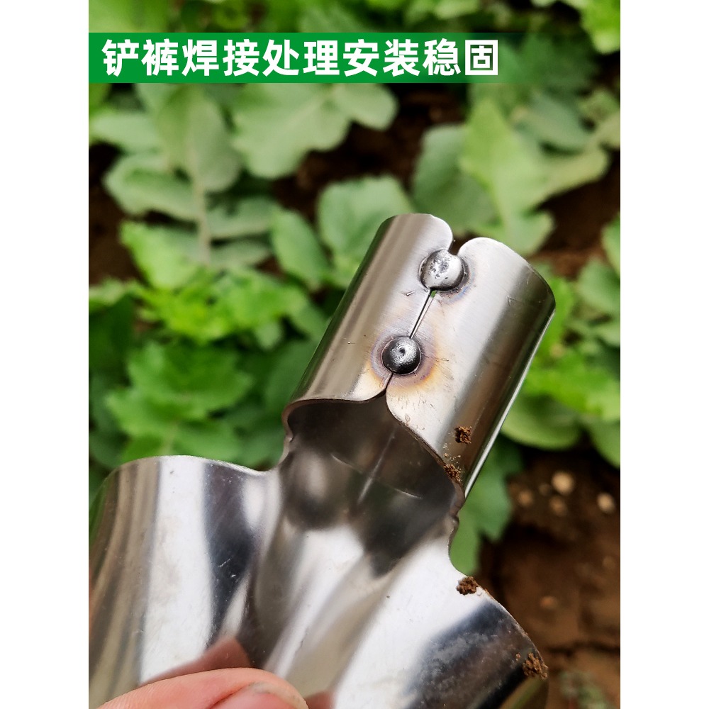 不銹鋼放羊鏟子小號鐵鍬戶外挖土家用種花種菜農用工具大全鏟羊糞-細節圖4