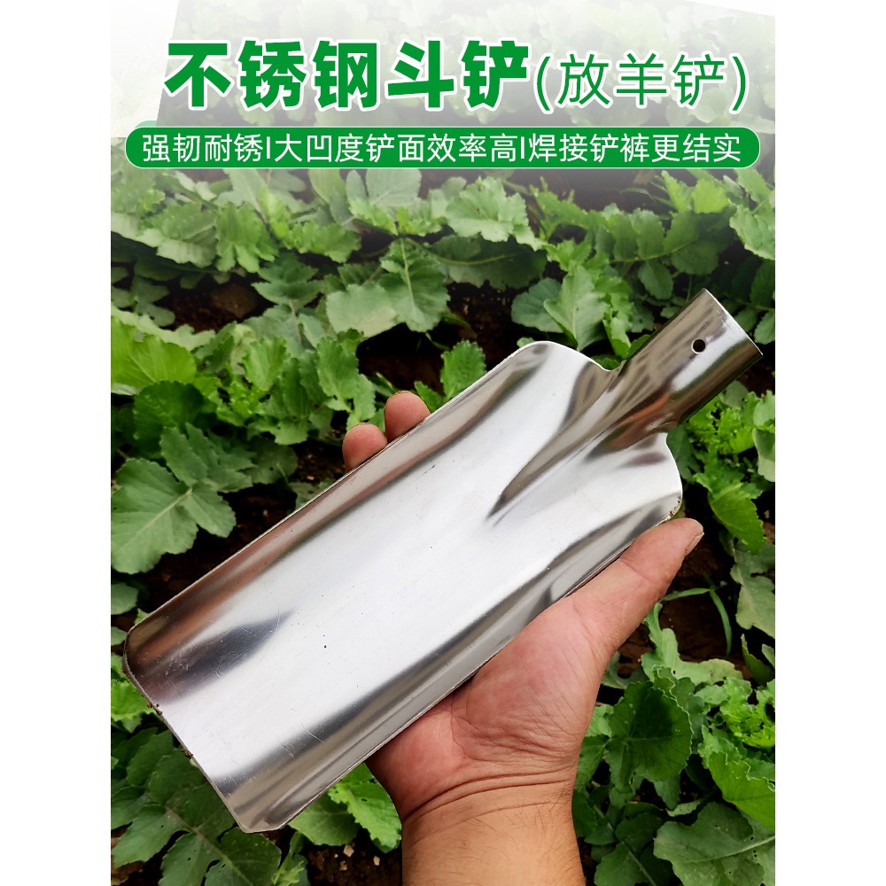 不銹鋼放羊鏟子小號鐵鍬戶外挖土家用種花種菜農用工具大全鏟羊糞-細節圖5