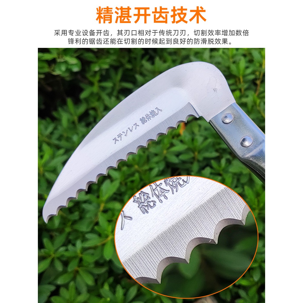 農用鐮刀割草割菜鋸樹枝加長不銹鋼除草神器大小鋸齒麥子玉米工具-細節圖3