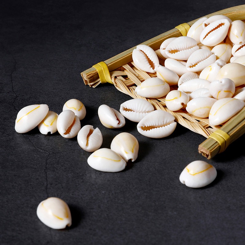 佛教海貝七寶石 天然海螺海貝 供佛 供曼扎 裝藏 裝飾 50克1兩-細節圖3