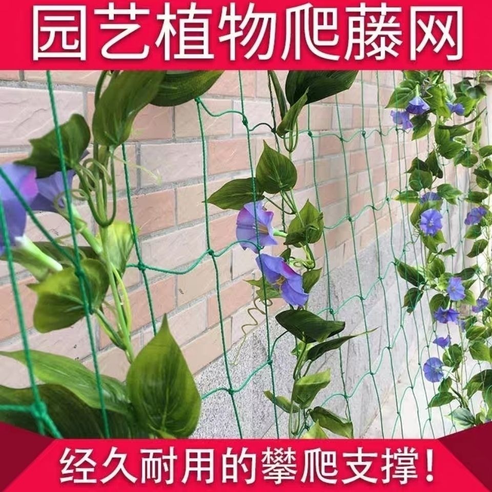 2021新款加粗園藝農用用爬藤網攀援網網蔬菜種植瓜果百香果爬藤網-細節圖2