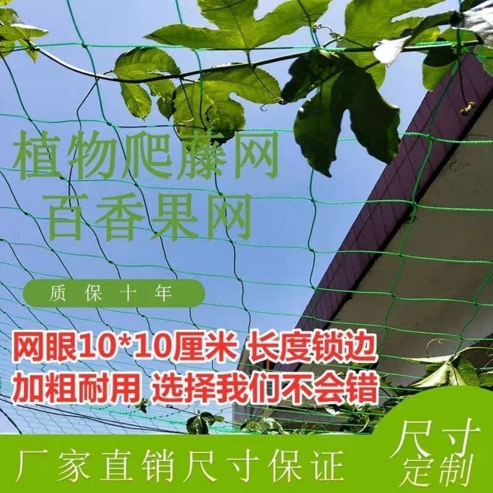 2021新款加粗園藝農用用爬藤網攀援網網蔬菜種植瓜果百香果爬藤網-細節圖3