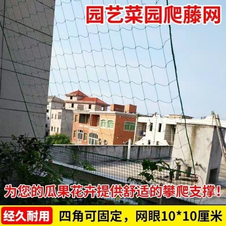 2021新款加粗園藝農用用爬藤網攀援網網蔬菜種植瓜果百香果爬藤網-細節圖4