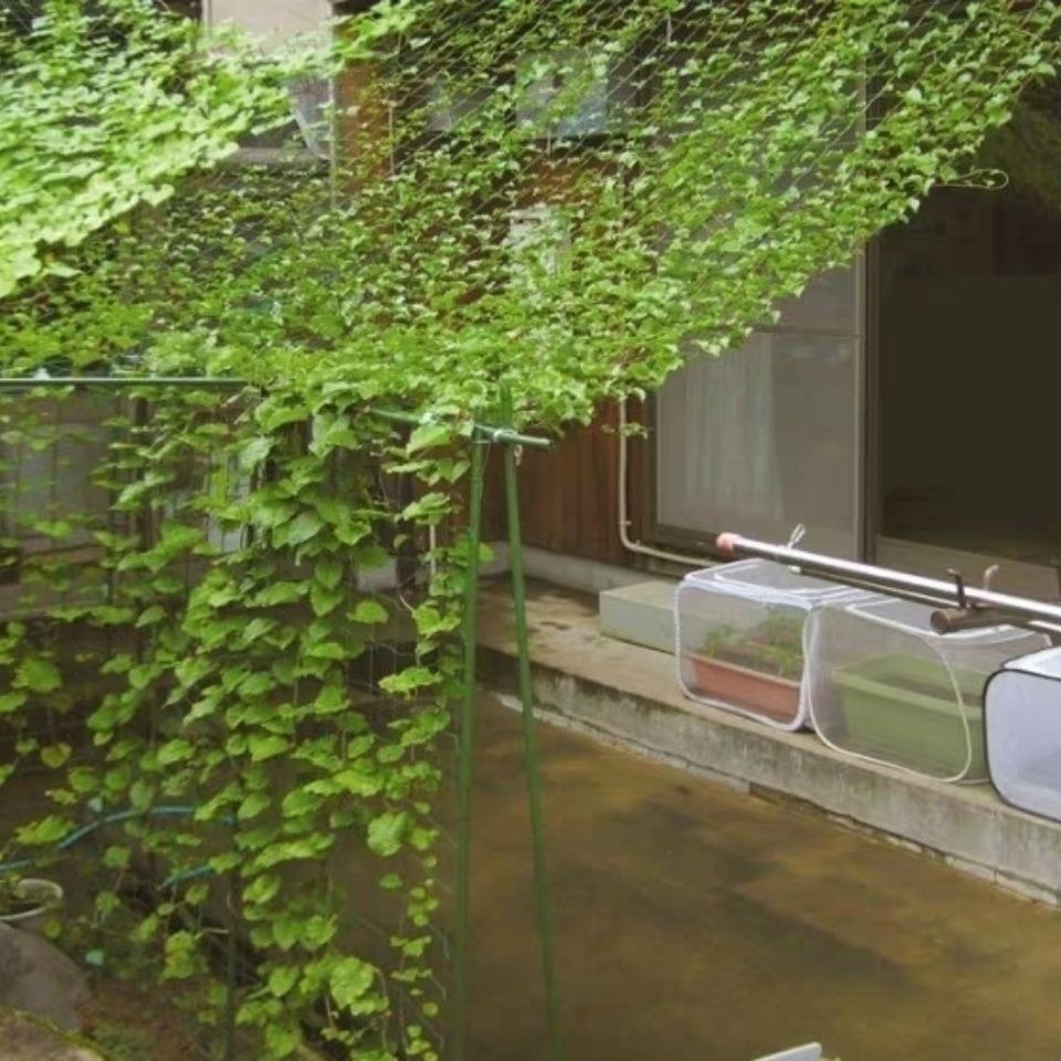 2021新款加粗園藝農用用爬藤網攀援網網蔬菜種植瓜果百香果爬藤網-細節圖5