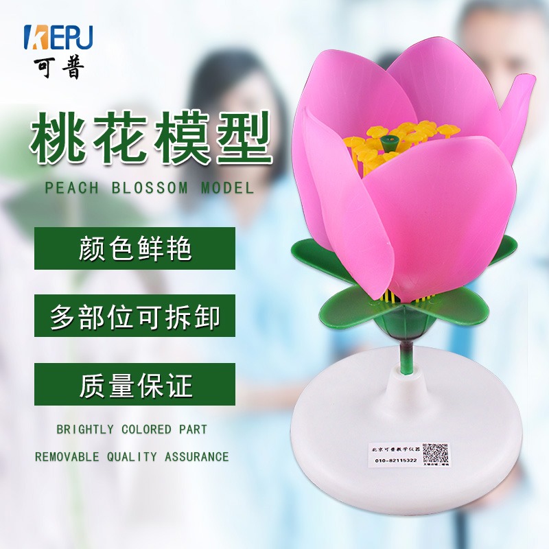 高倍手持便攜式顯微鏡帶燈放大鏡雙管80倍150倍帶LED光源帶刻度-細節圖10