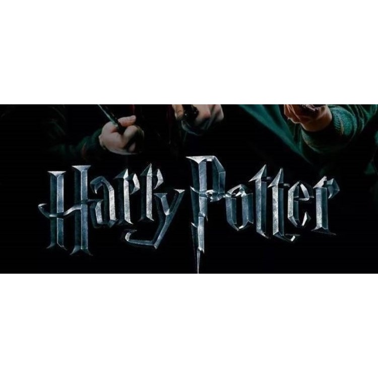 哈利波特魔法棒魔杖鄧布利多伏地魔赫敏哈利波特魔杖哈利波特周邊-細節圖7