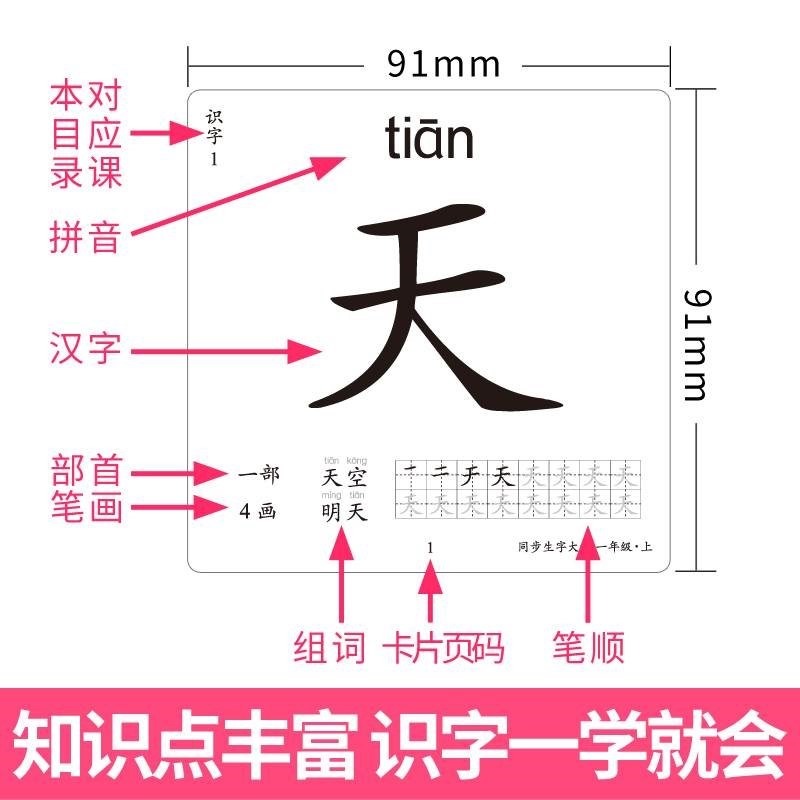 一年級生字卡片人教版小學生語文識字上冊304字下冊406字同步認字-細節圖3