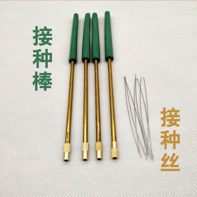 全銅接種棒送接種絲 食用菌接種針 微生物接種環不銹鋼金屬採樣棒-細節圖5