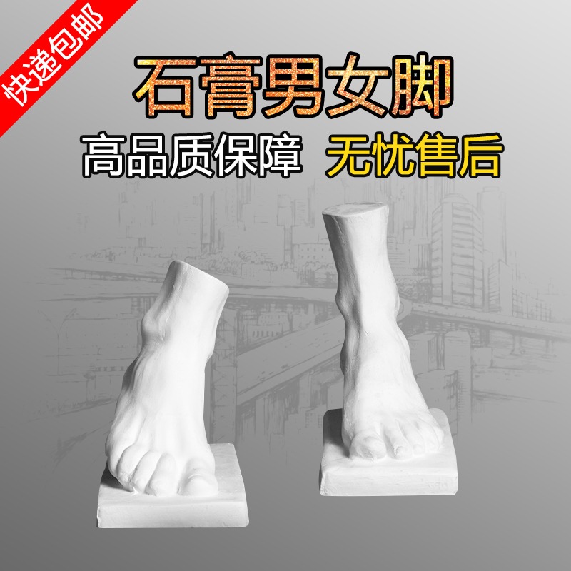 美術用品繪畫室配套石膏像模型男女手腳素描靜物R教具藝考雕塑擺l-細節圖2