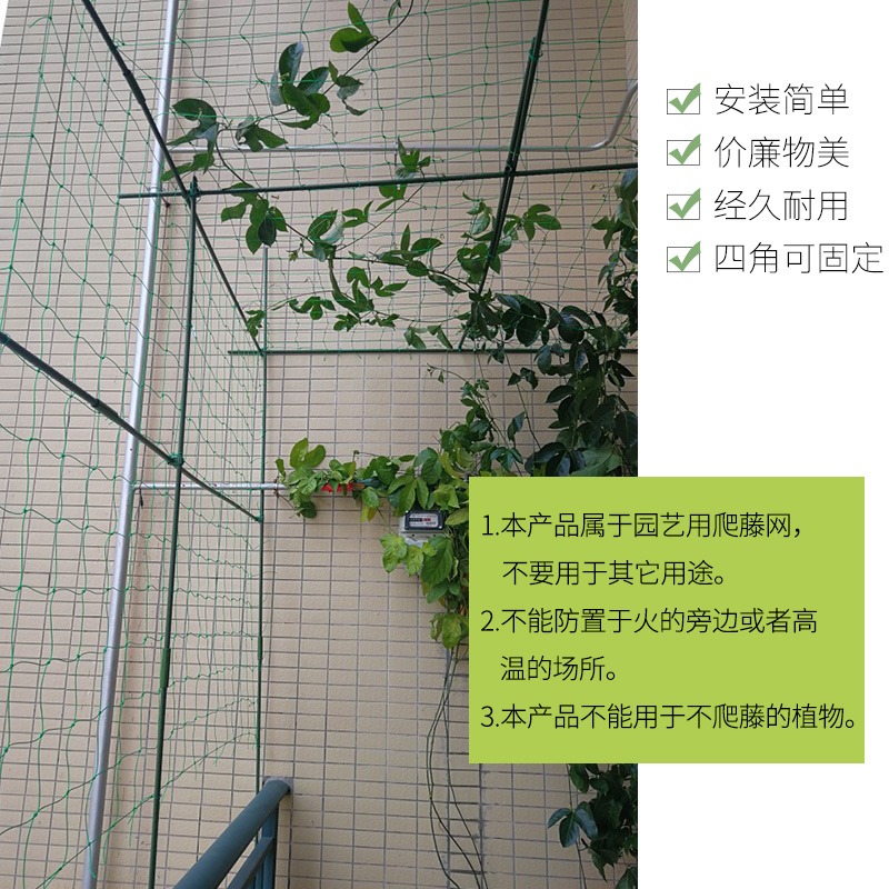 農用爬藤網黃瓜絲瓜豆角百香果葡萄鐵線蓮瓜果花卉植物大棚尼龍網-細節圖4