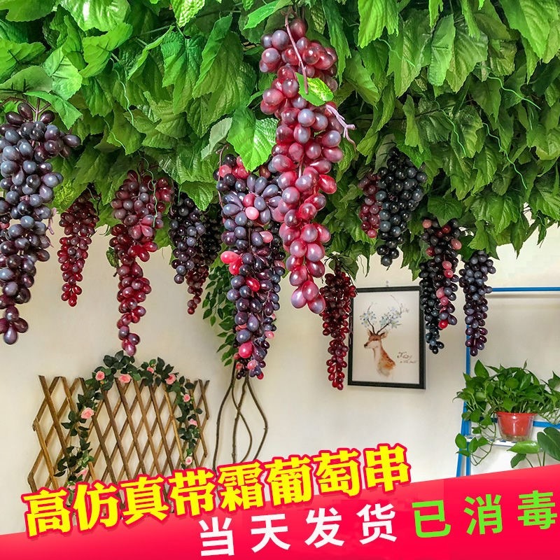 仿真葡萄串塑料水果提子模型幼兒園道具居家室內裝飾品假水果擺件-細節圖2
