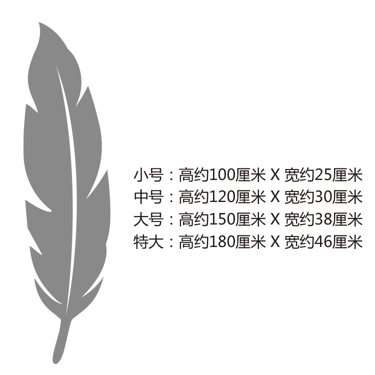 羽毛3d亞克力立體鏡面墻貼臥室浴室玄關穿衣鏡全身鏡防水裝飾鏡子-細節圖5