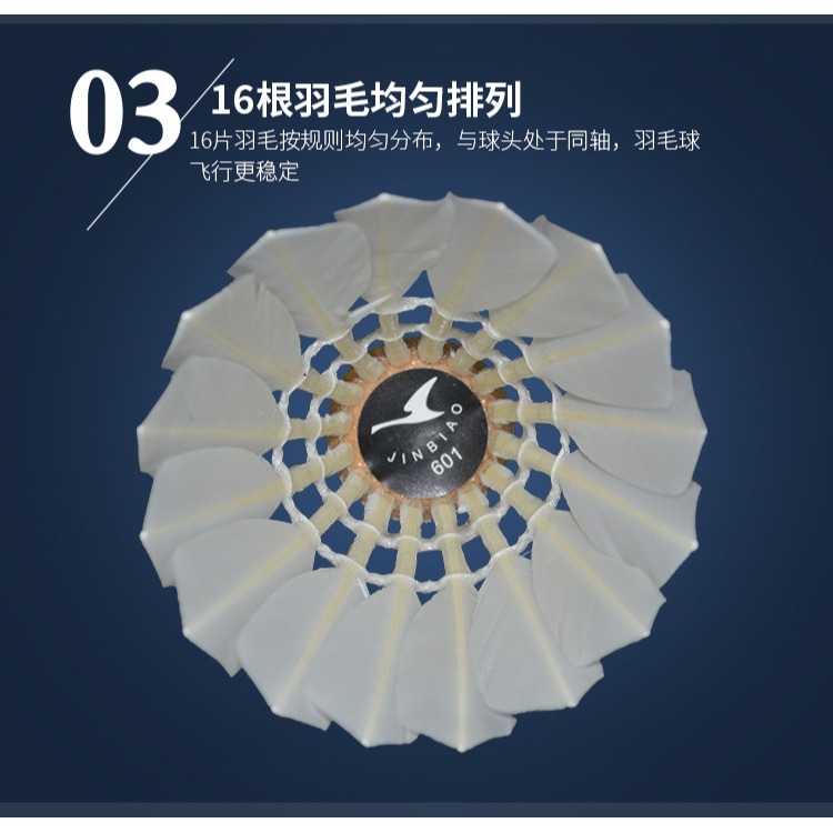 奧安康金標601 訓練羽毛球 鴨毛全圓 輕巧方便 經久耐用四桶-細節圖2