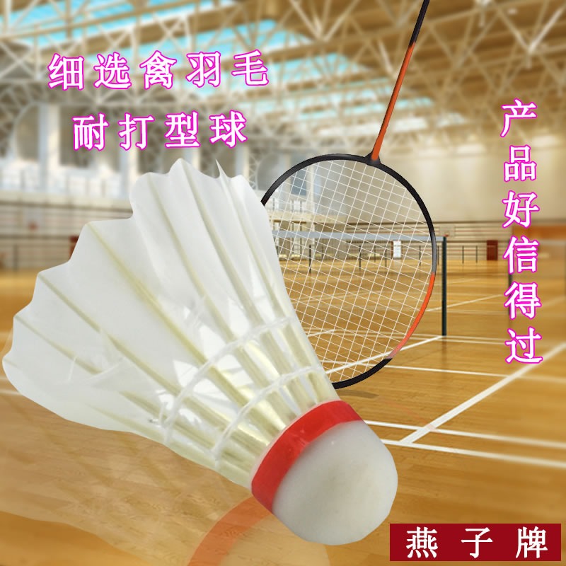 燕子616A 羽毛球 娛樂練習用球 室外用塑料球耐打球12只裝-細節圖5
