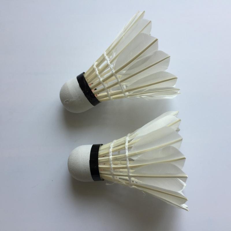 狂神NL8311羽毛球泡沫頭鴨彎毛娛樂型羽毛球一桶12個裝飛行穩定-細節圖5