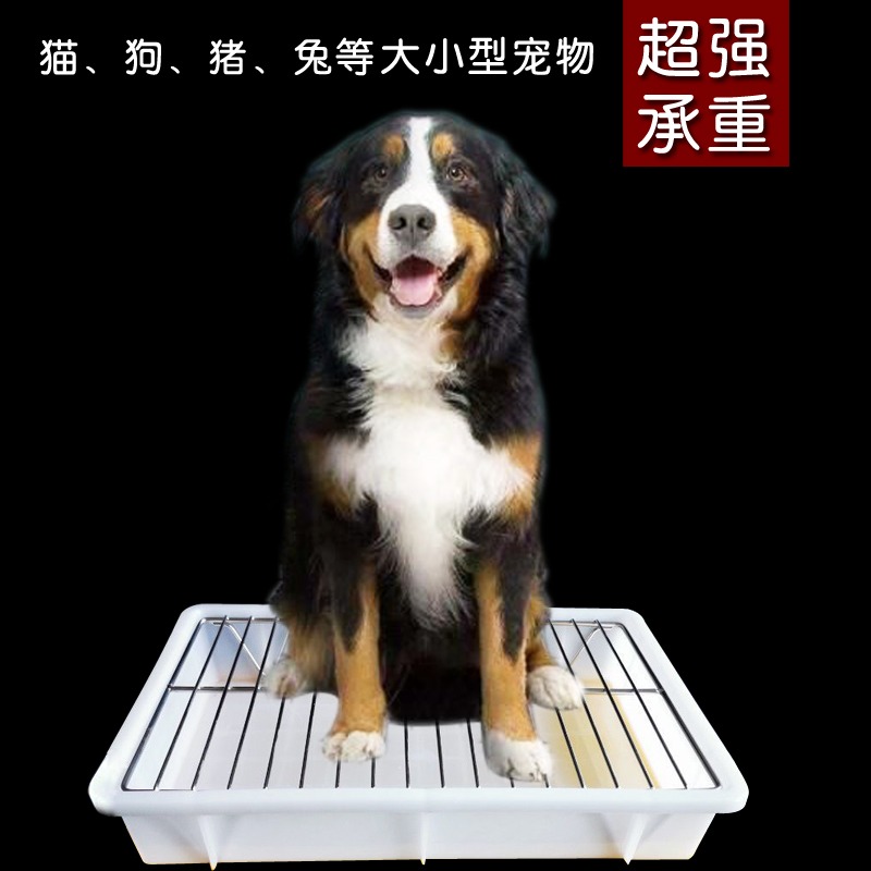 金毛狗廁所尿盆304不銹鋼寵物防踩屎腳架漏大便支架中小型犬加粗-細節圖3