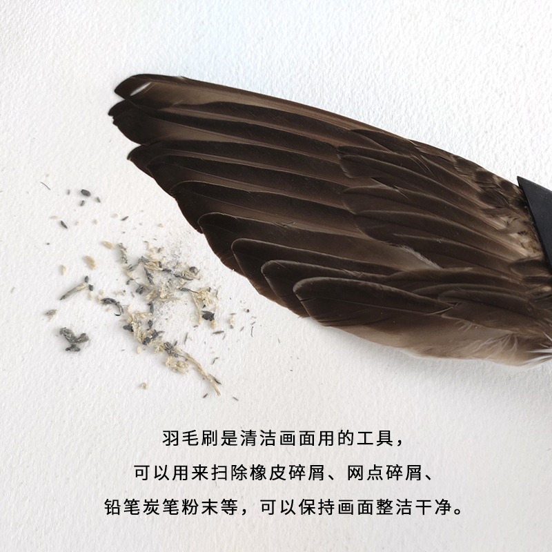 國產法比亞諾漫畫工具羽毛刷 羽毛扇 膠網紙清潔工具 美術漫畫清潔羽毛扇 橡皮碎屑清理工具-細節圖5