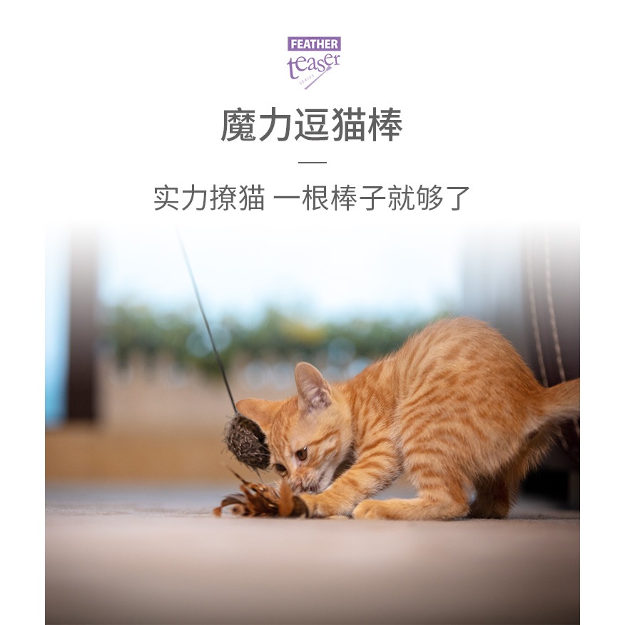 GiGwi貴為逗貓棒貓玩具羽毛高彈力手持防滑逗貓棒寵物貓咪玩具-細節圖3