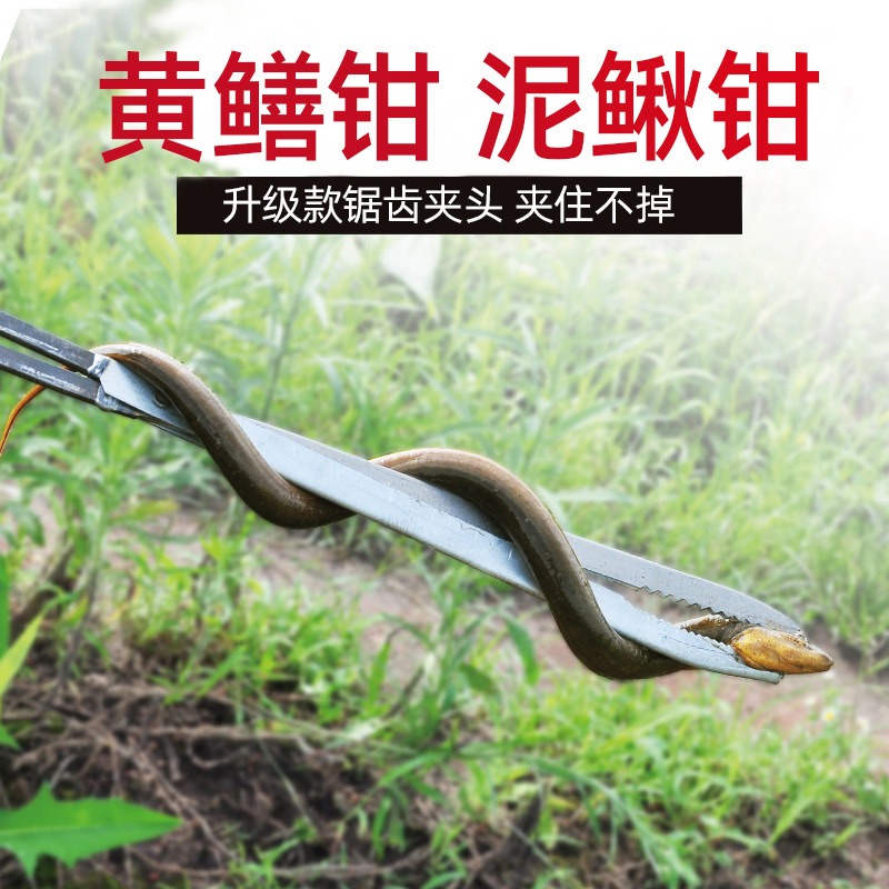 加長黃鱔夾工具鉗龍蝦螃蟹專用勾捕泥鰍夾魚防滑捕鱔魚抓螃蟹神器-細節圖4