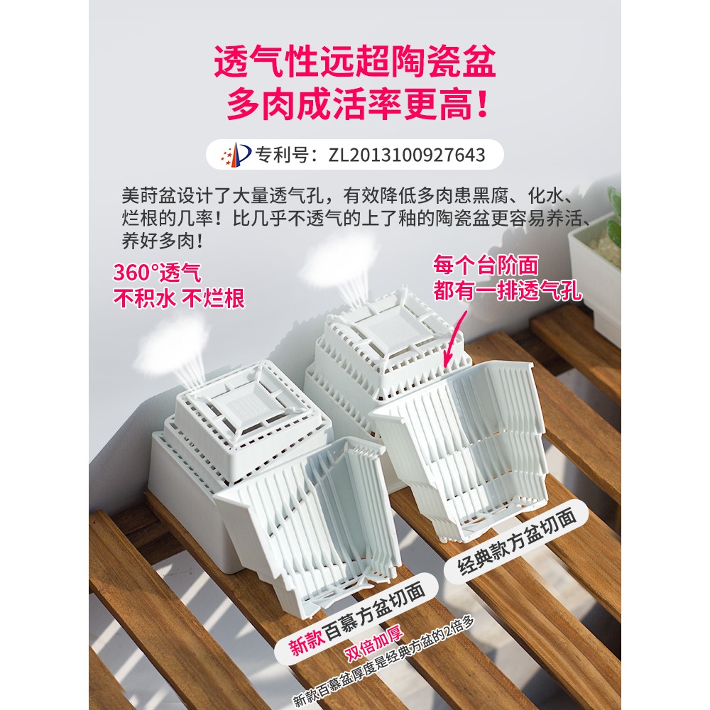 美蒔多肉專用花盆新款小號塑料透氣組合植物控根帶長方形託盤-細節圖2