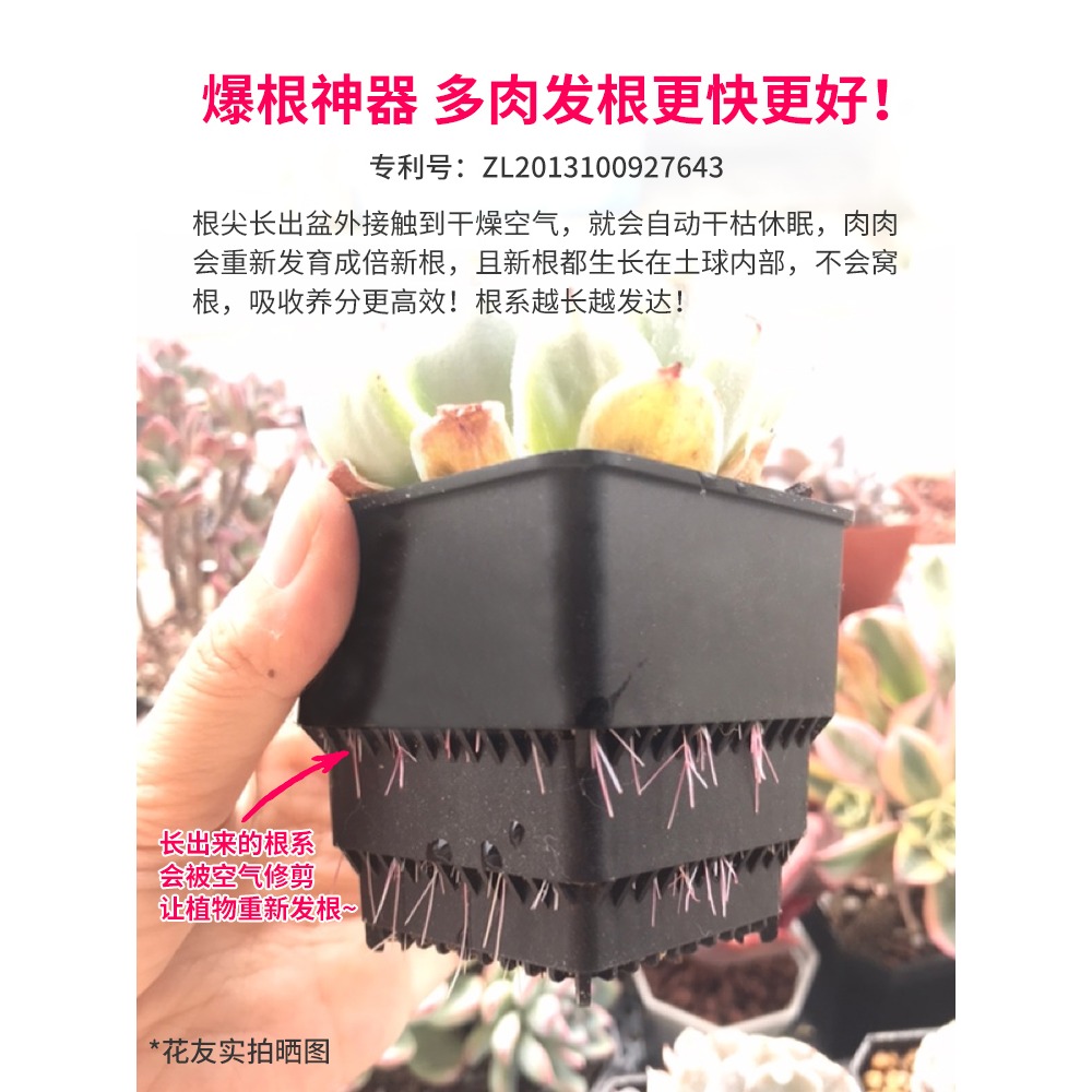 美蒔多肉專用花盆新款小號塑料透氣組合植物控根帶長方形託盤-細節圖3