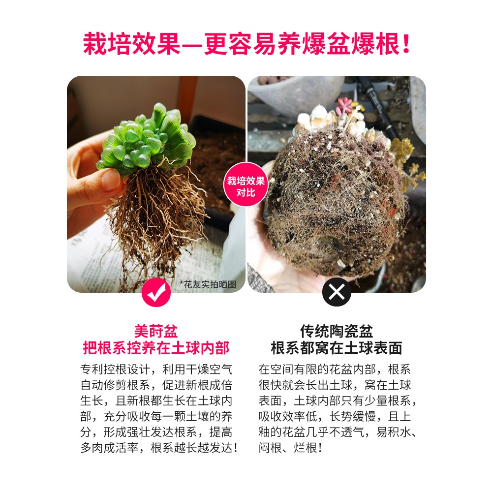 美蒔多肉專用花盆新款小號塑料透氣組合植物控根帶長方形託盤-細節圖4