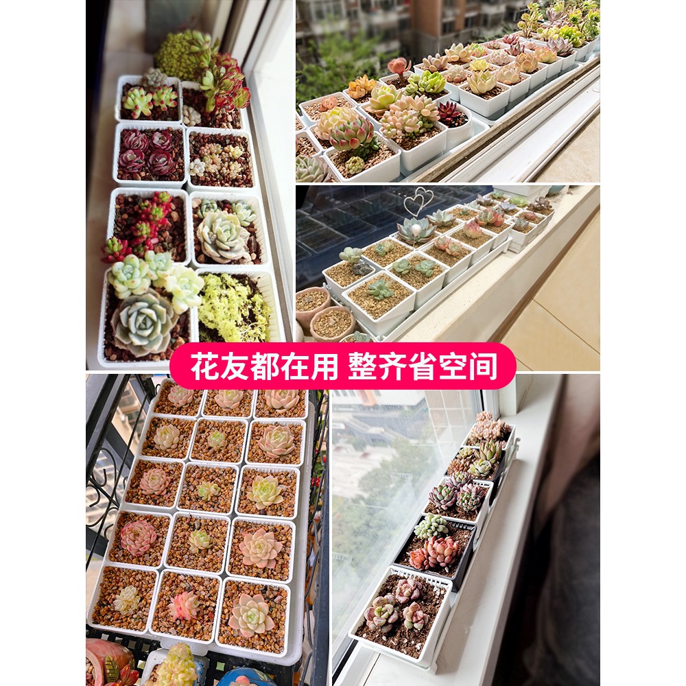 美蒔多肉專用花盆新款小號塑料透氣組合植物控根帶長方形託盤-細節圖5