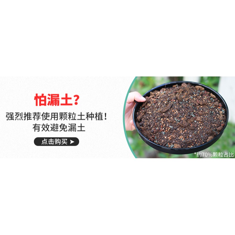 美蒔多肉專用花盆新款小號塑料透氣組合植物控根帶長方形託盤-細節圖6