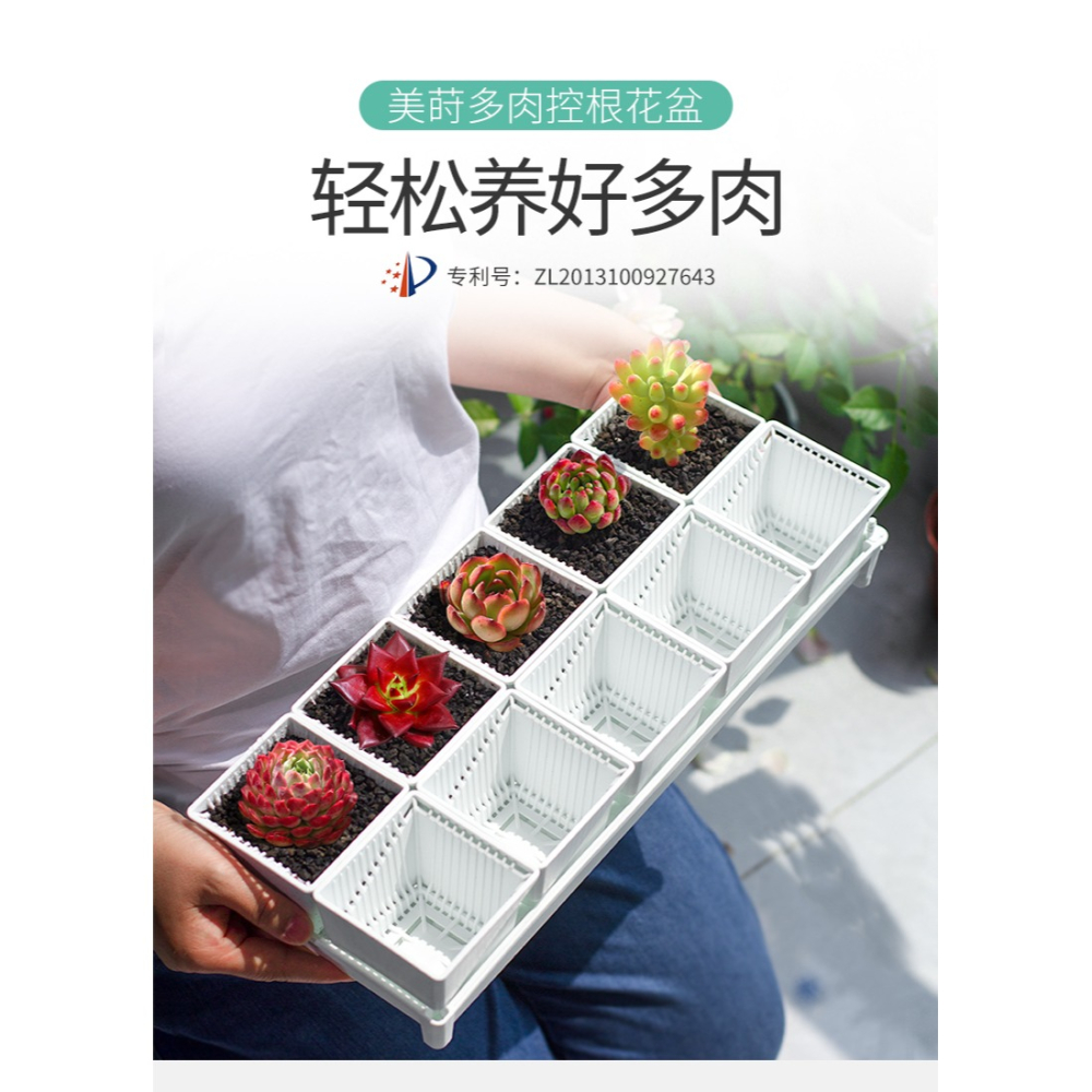 美蒔多肉專用花盆新款小號塑料透氣組合植物控根帶長方形託盤-細節圖7