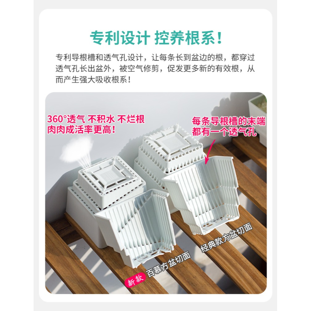 美蒔多肉專用花盆新款小號塑料透氣組合植物控根帶長方形託盤-細節圖8