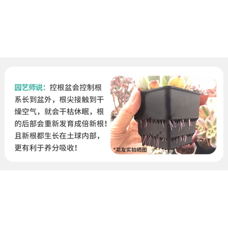 美蒔多肉專用花盆新款小號塑料透氣組合植物控根帶長方形託盤-細節圖9