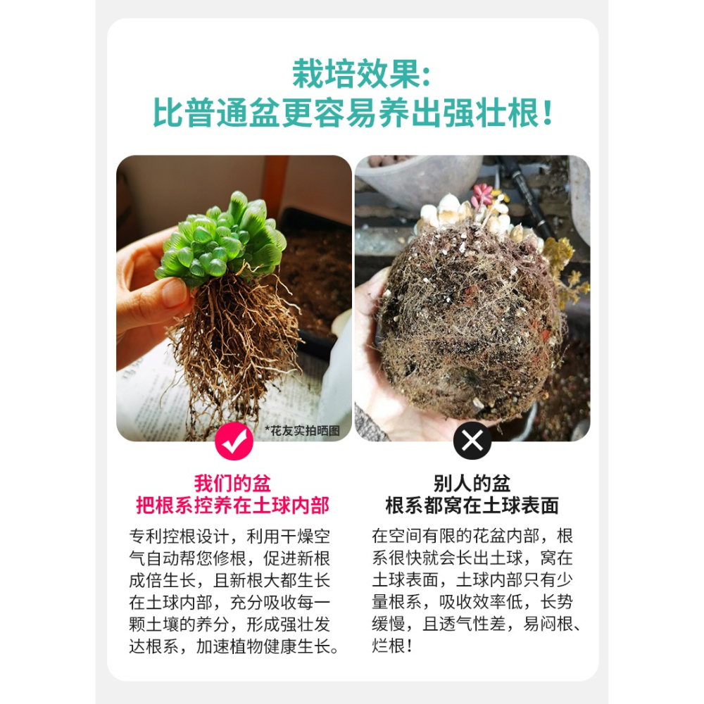 美蒔多肉專用花盆新款小號塑料透氣組合植物控根帶長方形託盤-細節圖10