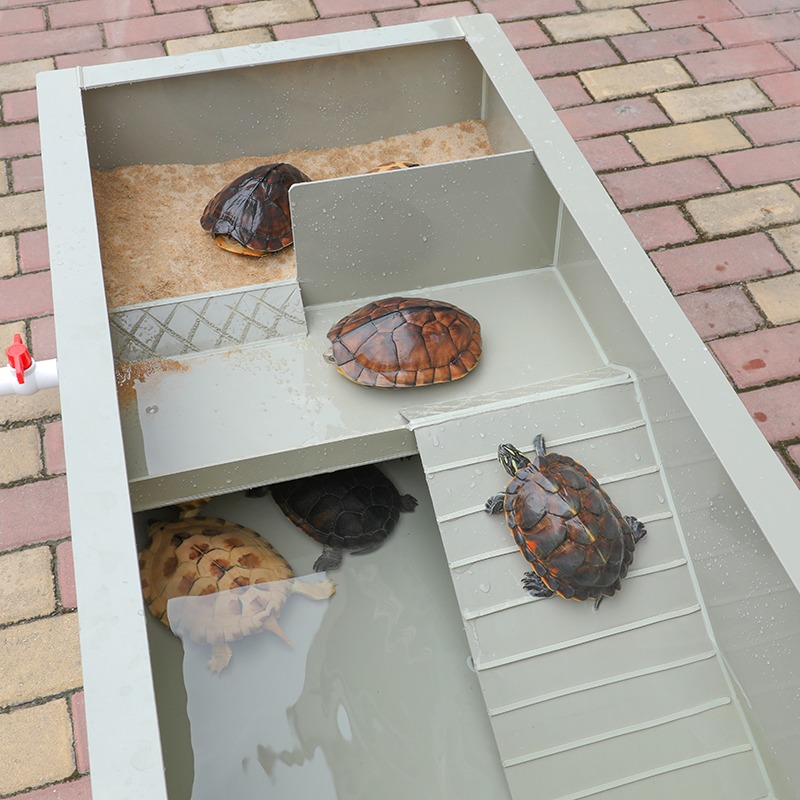 特惠陽臺養種龜水池有沙池繁殖箱環保塑料大型爬寵缸巴西草龜包郵-細節圖3